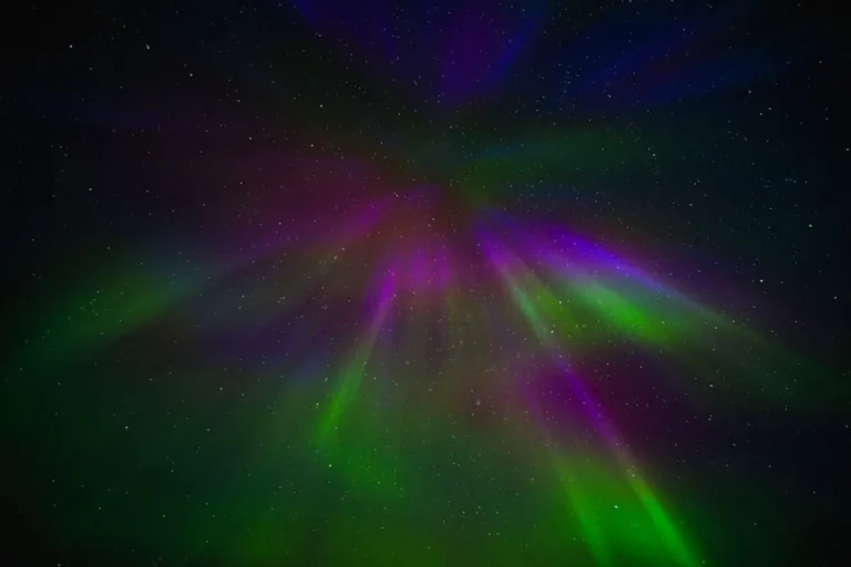 Bronwin Aurora Explained: Biography Searches, Reputation, and Digital Visibility: Insights for Neoinvites Readers